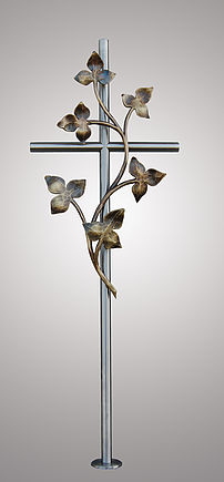 Hedera
