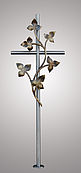 Hedera